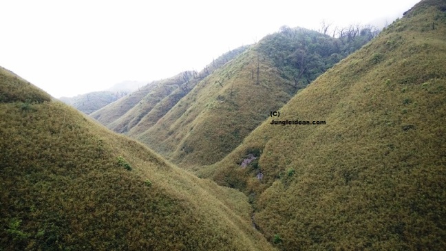Dzukou Valley, Japfu Peak , Nagaland Trekking, North East India Trekking